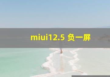 miui12.5 负一屏